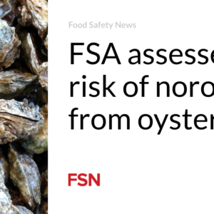 FSA assesses danger of norovirus from oysters