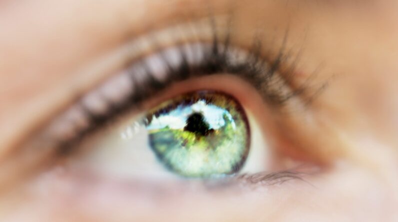Bayer initiates stage III examine to examine aflibercept 8 mg in retinal vein occlusion