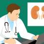 Quite a few would-be kidney donors are ineligible since of their pounds or smoking routines: A undertaking helps them qualify