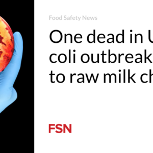 1 lifeless in United kingdom E. coli outbreak connected to raw milk cheese