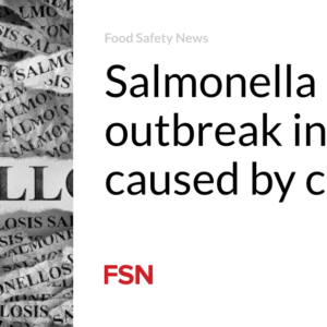 Salmonella outbreak in Chile brought about by cheese