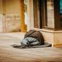 Shigella: An antibiotic-resistant bacteria is increasing among Philly’s homeless populace