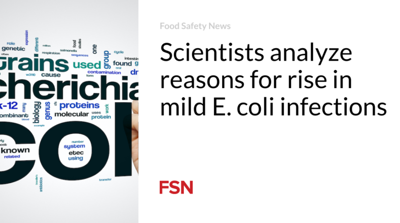 Researchers analyze causes for rise in delicate E. coli bacterial infections