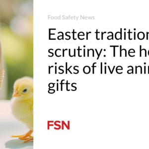 Easter tradition beneath scrutiny: The wellbeing dangers of stay animal gifts