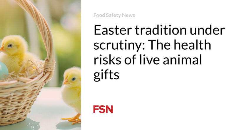 Easter tradition beneath scrutiny: The wellbeing dangers of stay animal gifts