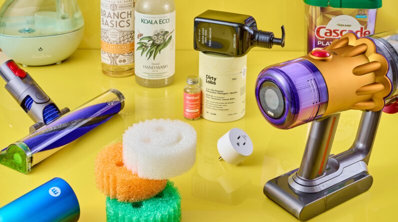 The Best Home Cleaning and Care Products of 2024