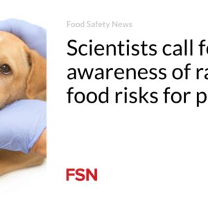 Researchers phone for additional recognition of uncooked pet food items pitfalls for people today