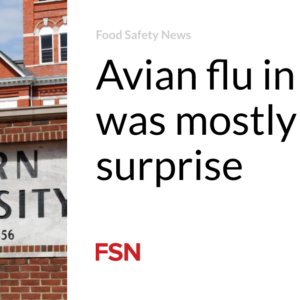 Avian flu in cows was mostly a shock