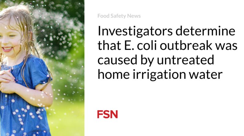 Investigators figure out that E. coli outbreak was induced by untreated residence irrigation water